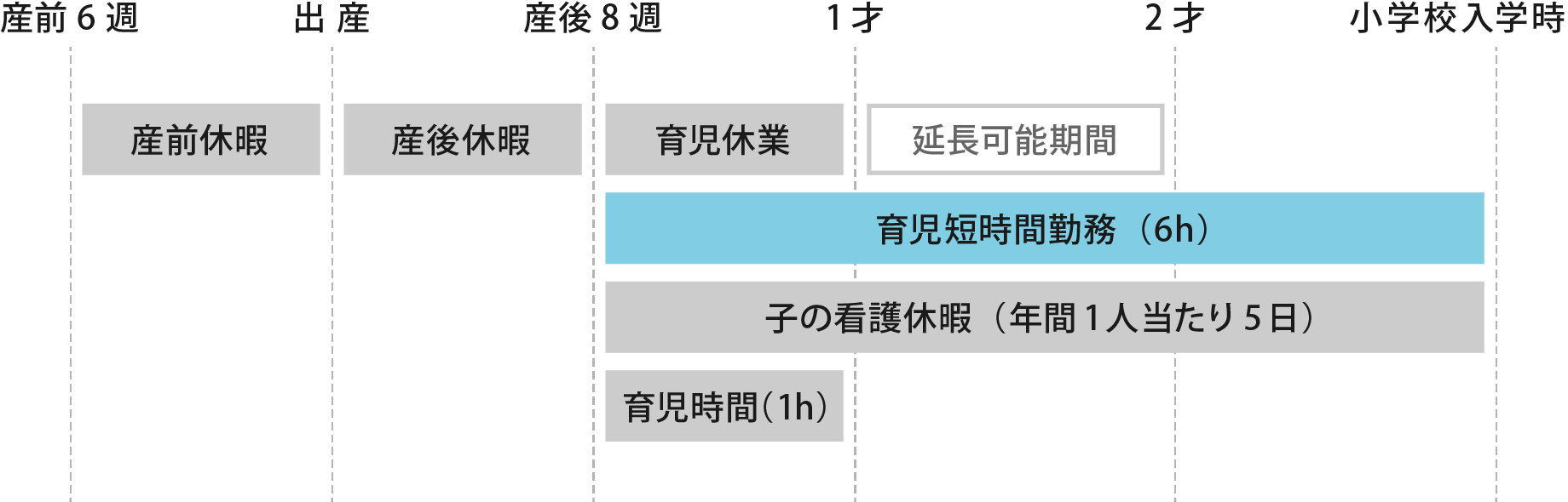 産後8週からは育児短時間勤務で6時間勤務にできます。その期間子の看護休暇を年間5日とることができます。